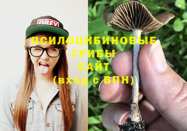 a pvp Балабаново