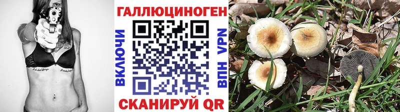 Псилоцибиновые грибы Psilocybe  Ефремов 